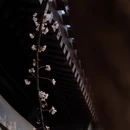 北京旅游 缩略图 8