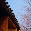 北京旅游 缩略图 9