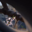 北京旅游 缩略图 10