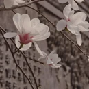 北京旅游 缩略图 6