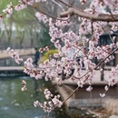 北京旅游 缩略图 15
