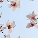 北京旅游 缩略图 3