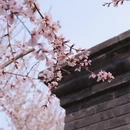 北京旅游 缩略图 14