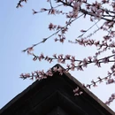 北京旅游 缩略图 13