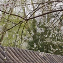 北京旅游 缩略图 17