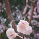 北京旅游 缩略图 3