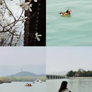 北京旅游 缩略图 5