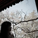 北京旅游 缩略图 6