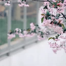 杭州旅游 缩略图 3