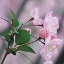 杭州旅游 缩略图 6