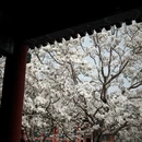 北京旅游 缩略图 8