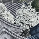 北京旅游 缩略图 2