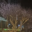 北京旅游 缩略图 3