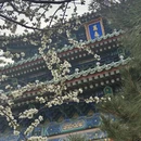 北京旅游 缩略图 2