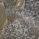 北京旅游 缩略图 3