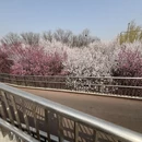 北京旅游 缩略图 1