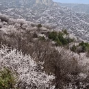 北京旅游 缩略图 1