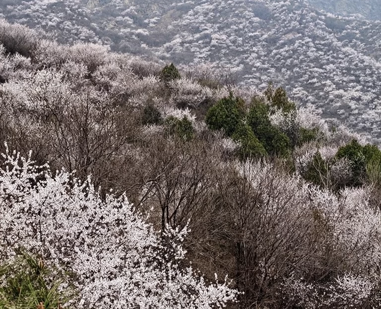 北京旅游 1