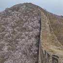 北京旅游 缩略图 4