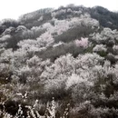 北京旅游 缩略图 5