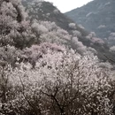 北京旅游 缩略图 4