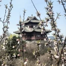 北京旅游 缩略图 2