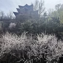北京旅游 缩略图 5