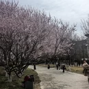 北京旅游 缩略图 8
