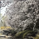 北京旅游 缩略图 10