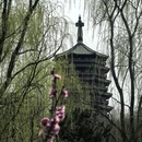 北京旅游 缩略图 7