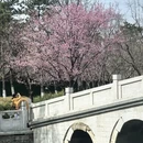 北京旅游 缩略图 11