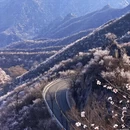 北京旅游 缩略图 4