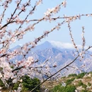北京旅游 缩略图 3