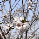 北京旅游 缩略图 5
