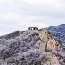 北京旅游 缩略图 2