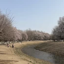 北京旅游 缩略图 1