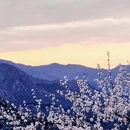 北京旅游 缩略图 6