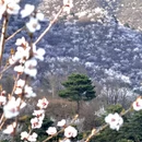 北京旅游 缩略图 5