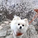 北京旅游 缩略图 9