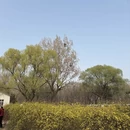 北京旅游 缩略图 6