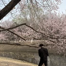 北京旅游 缩略图 4