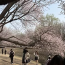 北京旅游 缩略图 3