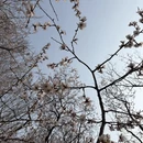 北京旅游 缩略图 5