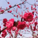 西安旅游 缩略图 5