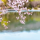 北京旅游 缩略图 2