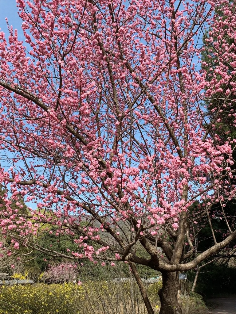 北京旅游