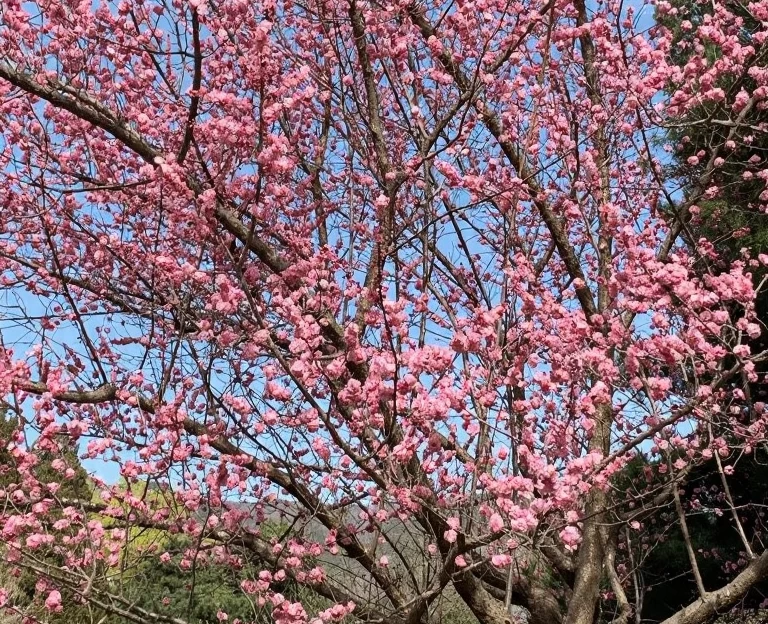 北京旅游 1