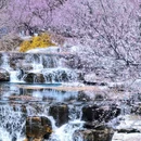 北京旅游 缩略图 6
