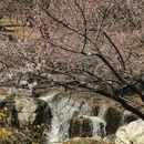 北京旅游 缩略图 4