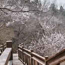 北京旅游 缩略图 5